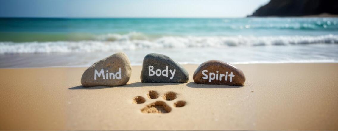 Animal Assisted Wellness